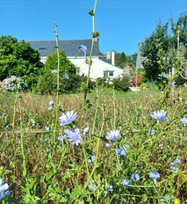 Scaer House | O'TY'ZOISEAUX - Plus proche de la nature - Meublé tourisme classé 4 étoiles