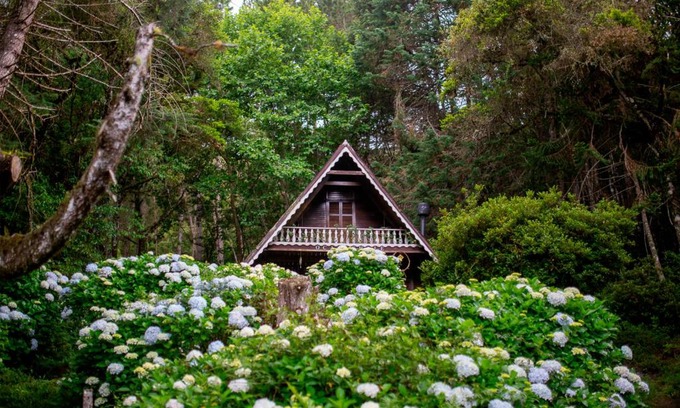 Delfim Moreira Cabin | Oca Chalé
