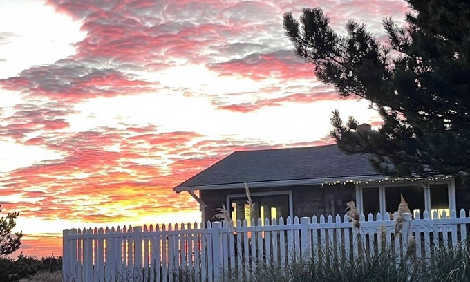 Long Beach Cabin | Ocean-front Cedar Cabin, Horse/Dog friendly, Birdwatcher's paradise!