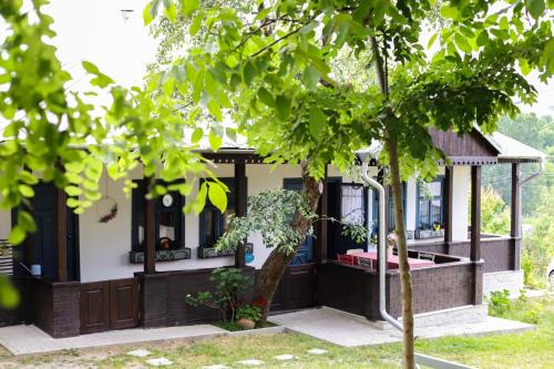 Calarasi House | Ograda cu salcâmi