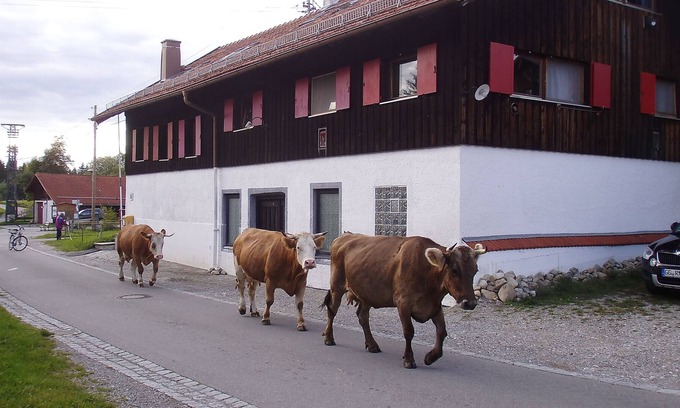 Oy-Mittelberg Apartment | Old Bachtel Dairy