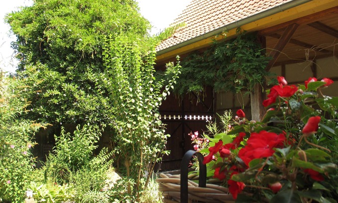 Epfig Apartment | Old stable converted into a cottage with garden, parking, and two bathrooms