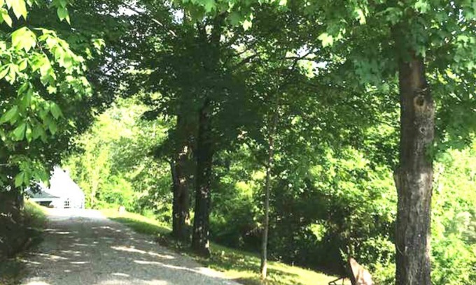 Cross Lanes Cottage | Old Woodland Acres "Industrial-Rustic" Cottage