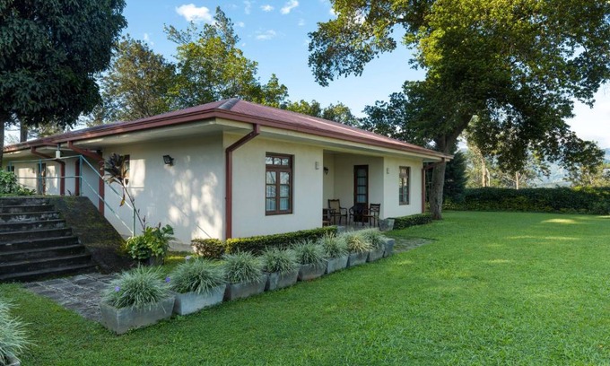Welimada Cabin | Olive Bungalow