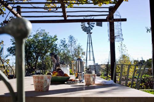 Prince Albert House | Olive Grove House