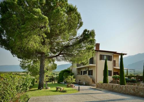 Litochoro Villa | Οlives and Vines all seasons villa