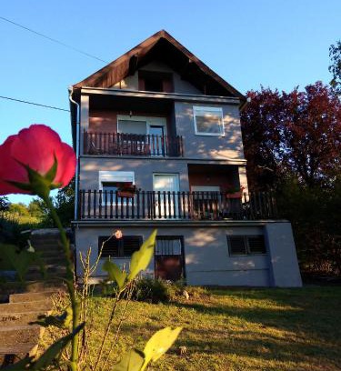Banostor Apartment | OLOR Apartman 2 - Banoštor