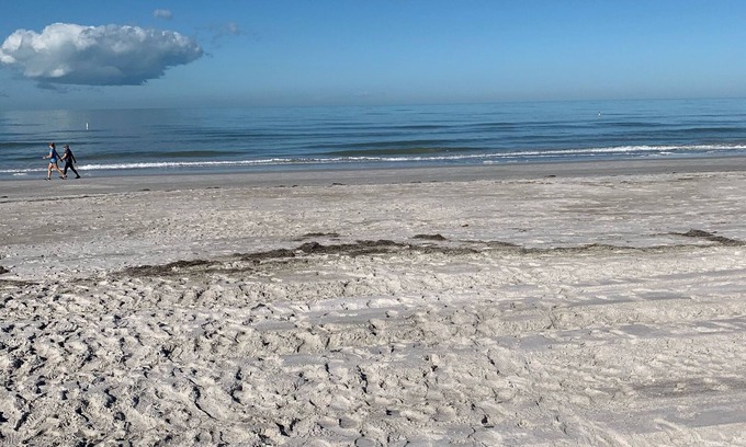 Belleair Beach Condo | On the beach.pool. Ground floor cottage with NO hurricane damage.