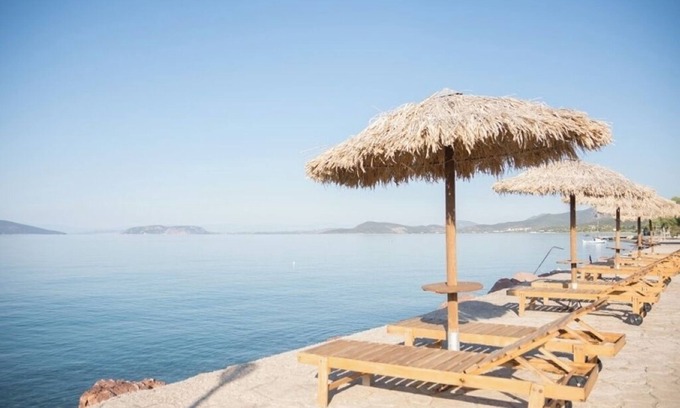 Thermisia Apartment | One-Bedroom Apartment with Sea Views and Olive Grove Serenity for Up to 4 Guests