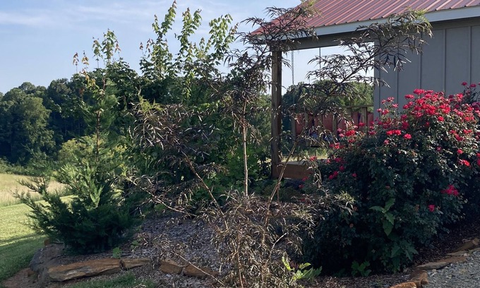 Gladehill Cabin | One room cabin set on our farm for a peaceful getaway.