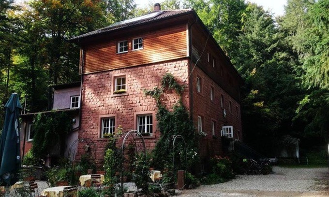 Wachenheim an der Weinstrasse Bed & Breakfast | Oppauer Haus - 102 Vierbettzimmer, Dusche, WC