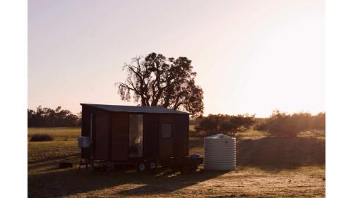 Cherry Tree Pool House | Orana Cabin by Tiny Away