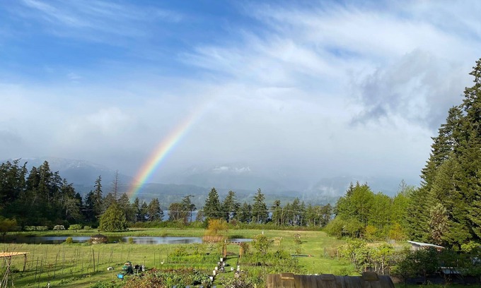 Denman Island House | Otter Lake B&B, Denman Island, BC, Canadanfamily friendly, coastal