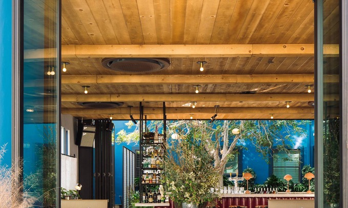 Lucerne - Higuera Hotel | Palihotel Culver City