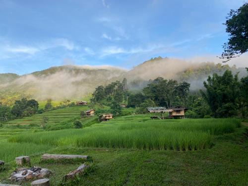 Samoeng Other | Pang Ma - O rice terrace นาขั้นบันไดบ้านปางมะโอ