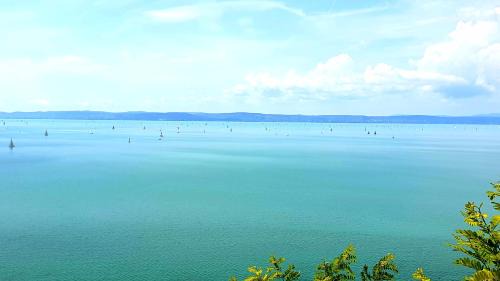 Balatonvilagos Apartment | Panoramic apartments