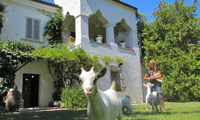 Tocco da Casauria Other | PANORAMIC SUITE in the GARDENS: small cottages (x 2-4 p) between mounts & beach