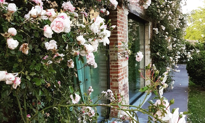 Huldenberg Bed & Breakfast | Park 7