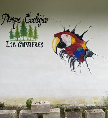 San Vicente Pacaya Other | Parque Ecológico los Cipreses Volcán Pacaya