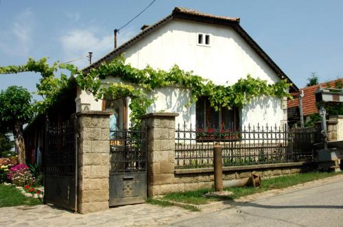 Tarcal Bed & Breakfast | Pataky Borporta