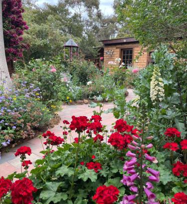 Witchcliffe Ski Chalet | Patricias Garden Studio