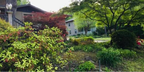Morrilton House | Paw Paw Tree Estate with Guest House