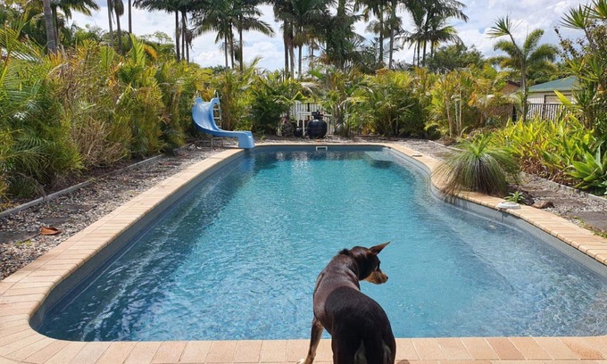 Ningi House | Peace and Tranquility by the pool