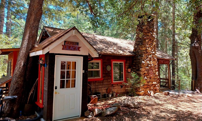 Palomar Mountain Cabin | Peaceful 1920s Cozy Cabin snuggled in 100 ft Pines -Palomar Mt, Bailey Meadows