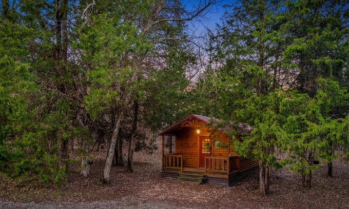 Mount Juliet Cabin | Peaceful Cabin w/TV + Wi-Fi + Firepit | Pets!