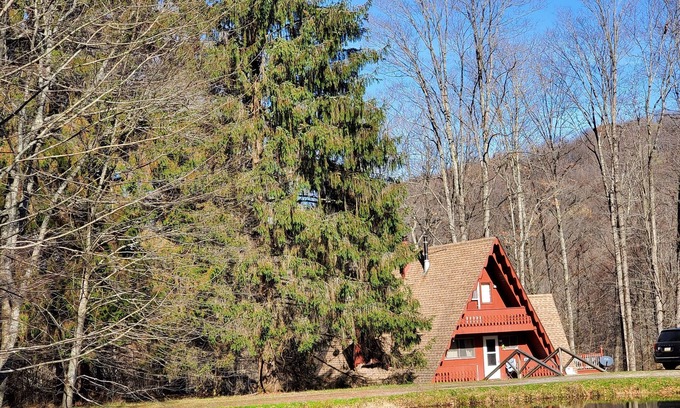 Genesee Cabin | Peaceful Days~Cozy Cabin~Sounds of Silence~Star Gazing~Relax