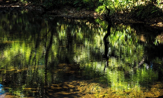 Hato Viejo House | Peaceful forest Haven w/ Shared Pool and river between David and Boquete