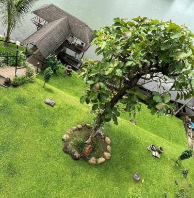 Nedumbassery Villa | Pearl Spot