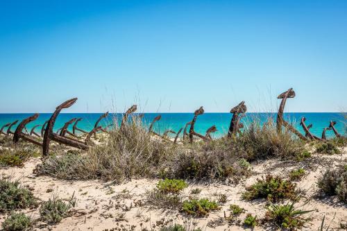 Santa Luzia Resort | Pedras D'el Rei