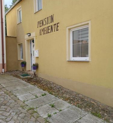 Muhlberg House | Pension Ambiente