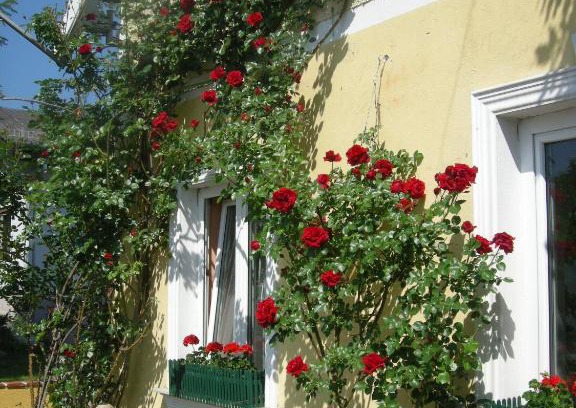 Unterpremstaetten House | Pension Arkadenhof