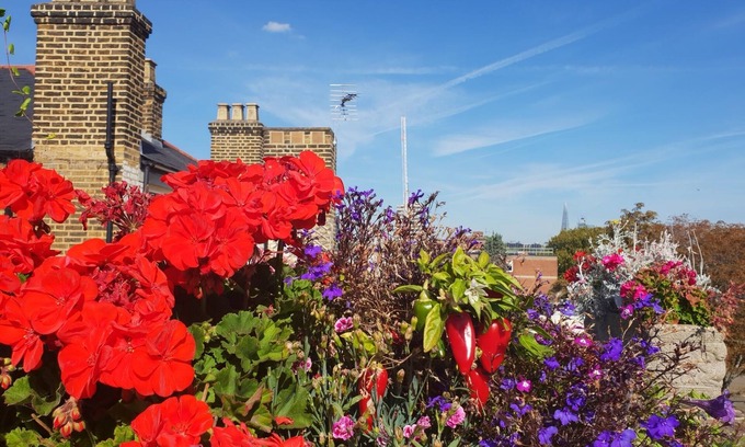 Camberwell Apartment | Penthouse Apartment With Large Roof Terrace