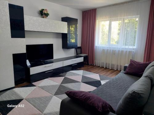 Suceava Apartment | Penty Apartament