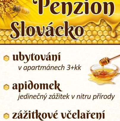 Ostrozska Nova Ves Apartment | Penzion Slovácko 2