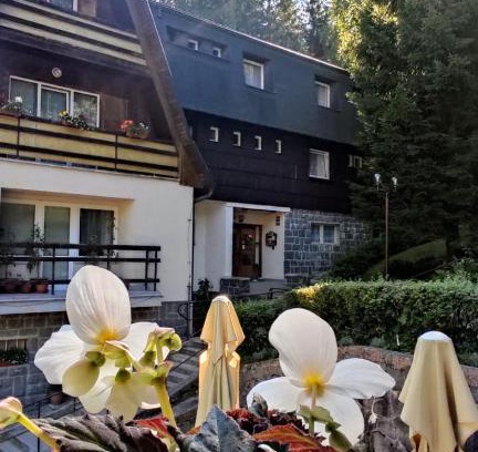 Manova Lhota House | Penzion Svojanov