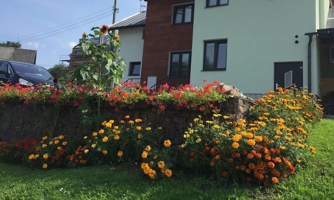 Stare Mesto Apartment | Penzion v podhůří Králického Sněžníku.