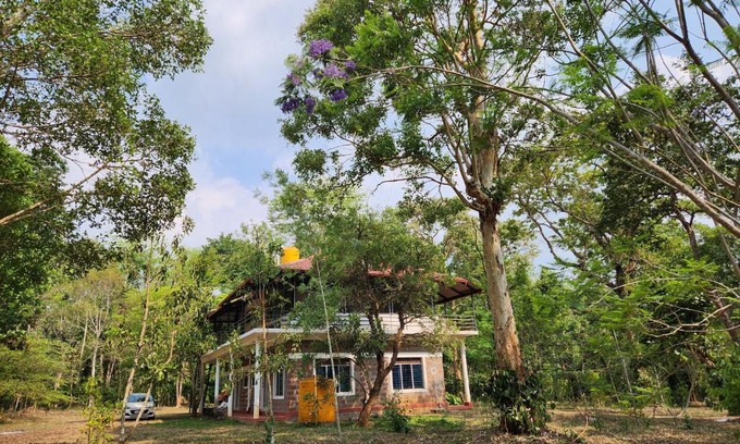 Kushalnagar House | Periwinkle Place