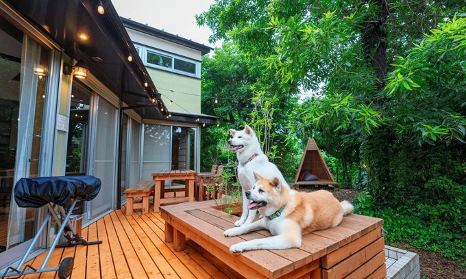 Yawatano House | Pet friendly designers house/Ito Shizuoka