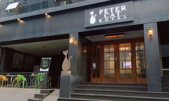 Daeheung-dong Hotel | Petercat Hotel Sinchon Hongdae