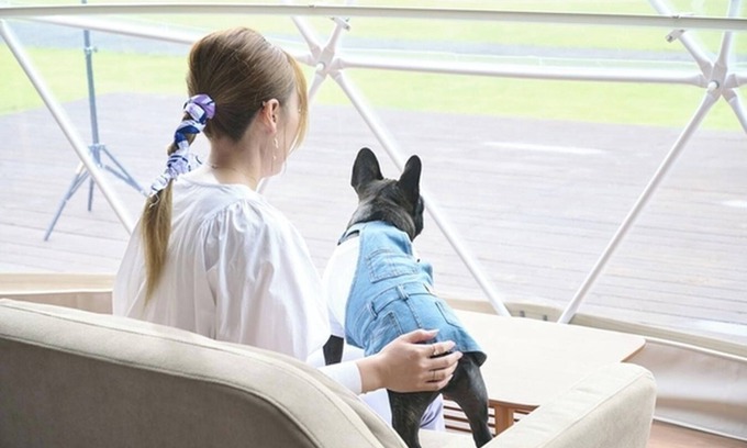 Katakai RV Rental | Pets allowed 7m dome tent A Accommodation onl/Sanbu District Chiba