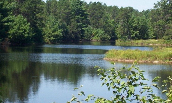 Black River Falls Cottage | Pheasant Cottage- Cottages On Serenity Lake- has best view of Serenity Lake!