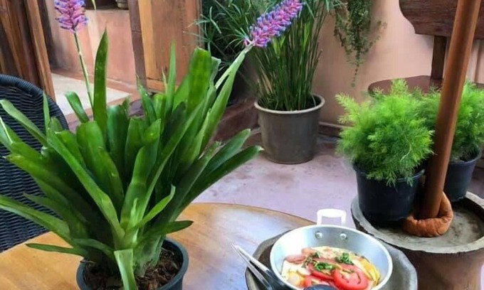 Bangkok House | Pimthong Place
