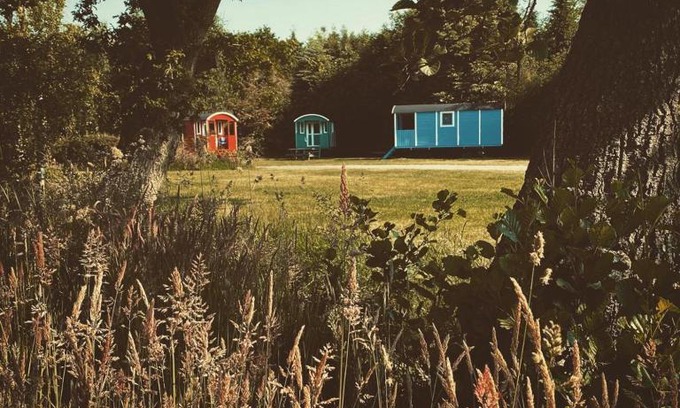 Jubbega Other | Pipowagens bij Pannenkoekenrestaurant & Camping De Koppenjan 'Een uniek verblijf met kinderspeelboerderij'