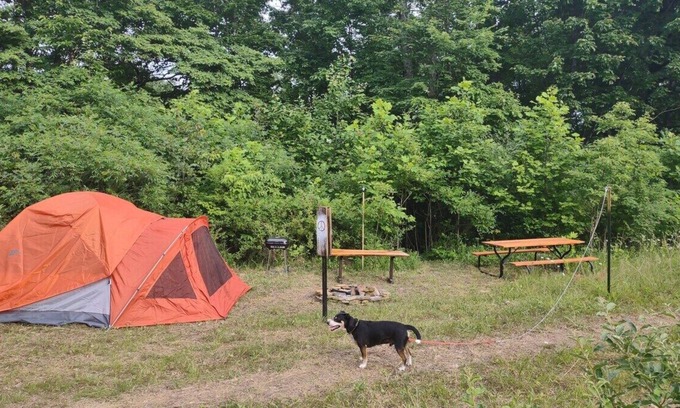 Laurelville RV Rental | Pitch a Tent or Park a 20 ft or Smaller Camper at Camp Peace Hocking Hills