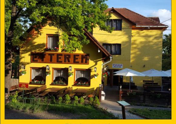 Szentendrei House | Platán Panzió
