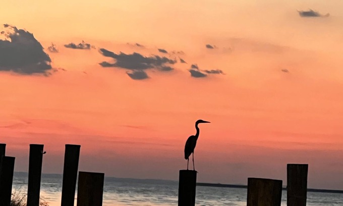 Tilghman Cottage | "Point of View" Waterfront cottage with panoramic views on Tilghman Island